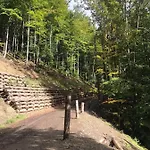 Babia Nyaraló Zawoja