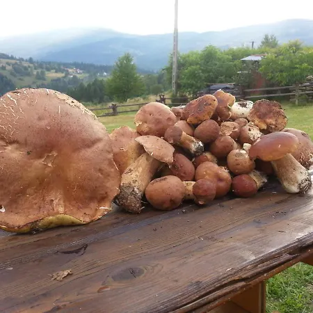 Babia * Zawoja