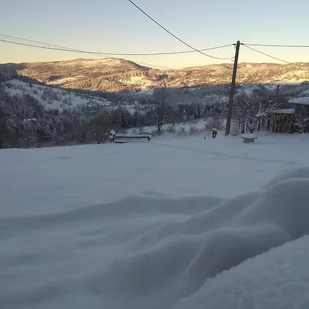 Babia זאבוייה