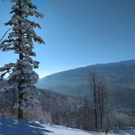 Babia
