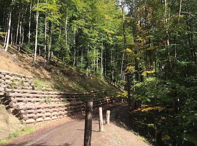 Babia בקתה זאבוייה