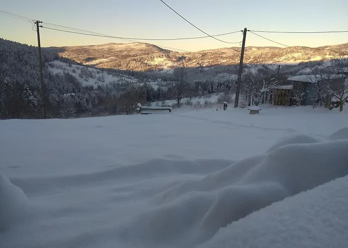 Babia זאבוייה